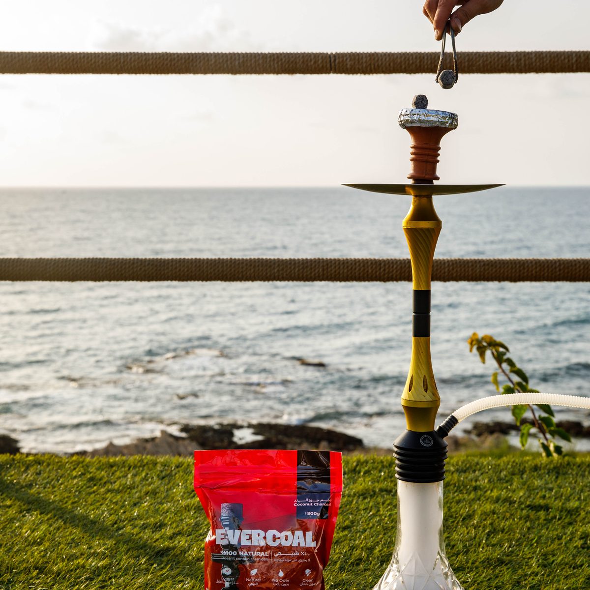 Evercoal charcoal being placed on a hookah by the sea