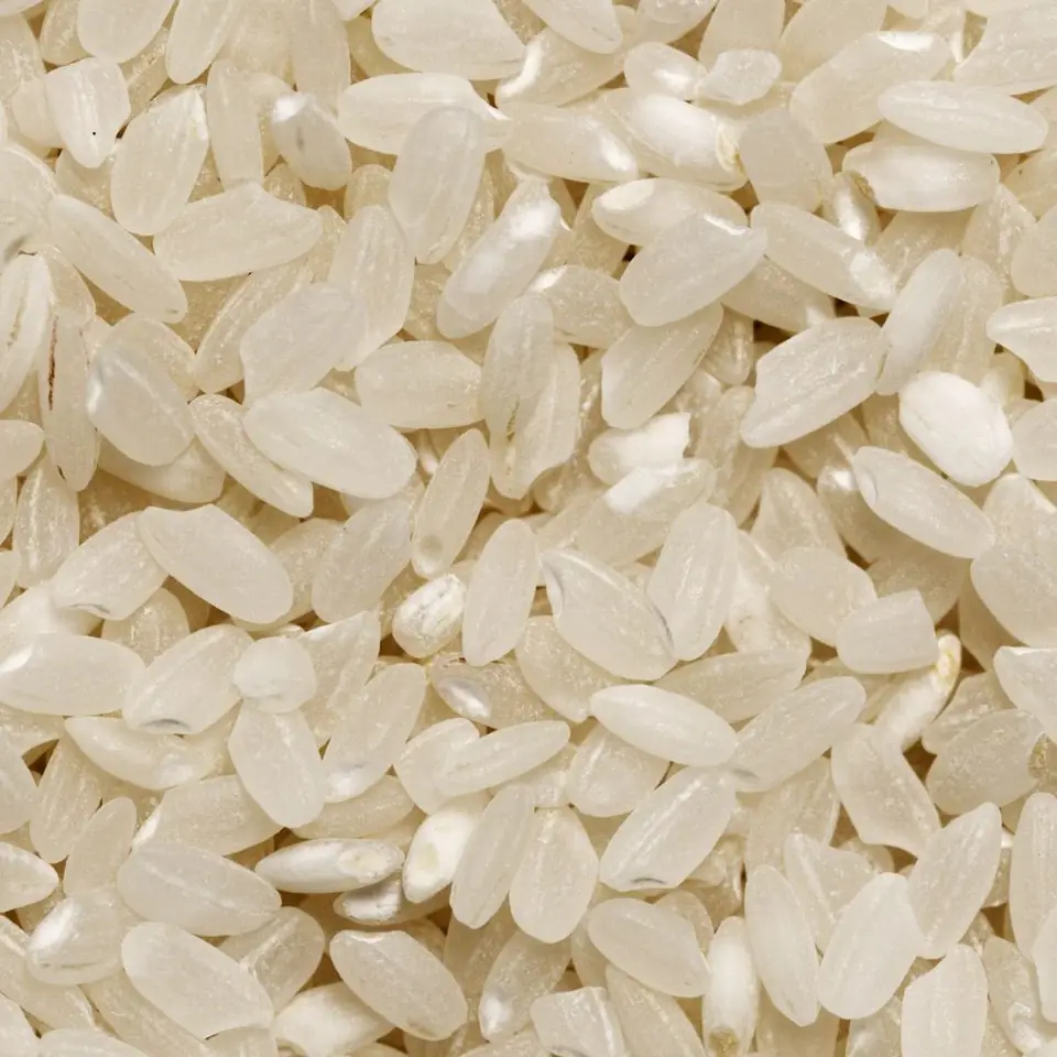 Italian Rice