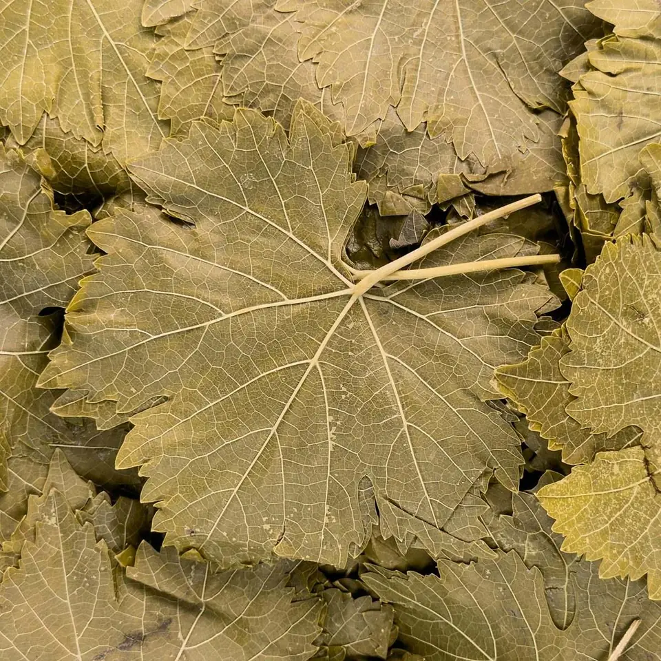 Vine Leaves Extra